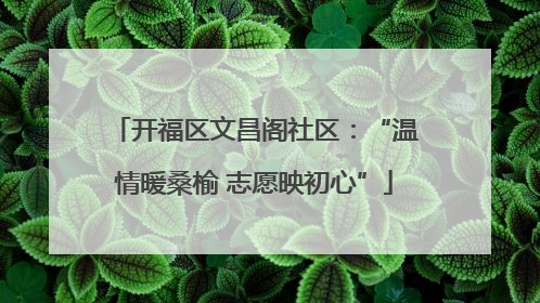 开福区文昌阁社区：“温情暖桑榆 志愿映初心”