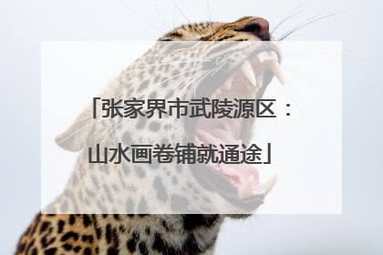 张家界市武陵源区：山水画卷铺就通途