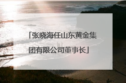 张晓海任山东黄金集团有限公司董事长