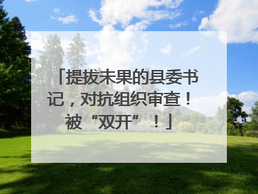 提拔未果的县委书记，对抗组织审查！被“双开”！