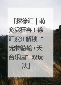 探徐汇｜萌宠党狂喜！徐汇滨江解锁“宠物游轮+天台乐园”双玩法
