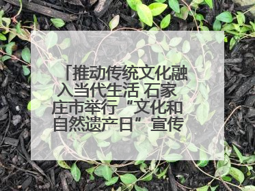 推动传统文化融入当代生活 石家庄市举行“文化和自然遗产日”宣传展示活动