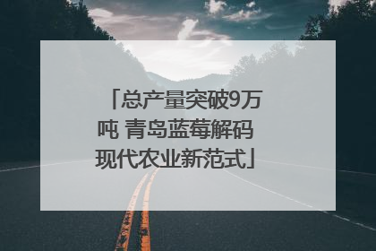 总产量突破9万吨 青岛蓝莓解码现代农业新范式