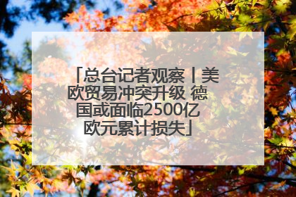 总台记者观察丨美欧贸易冲突升级 德国或面临2500亿欧元累计损失