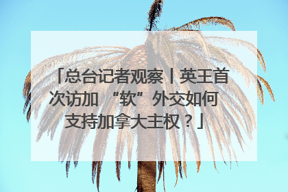 总台记者观察丨英王首次访加 “软”外交如何支持加拿大主权？
