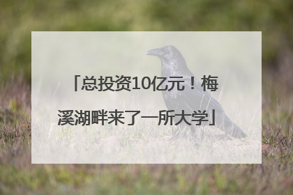 总投资10亿元！梅溪湖畔来了一所大学