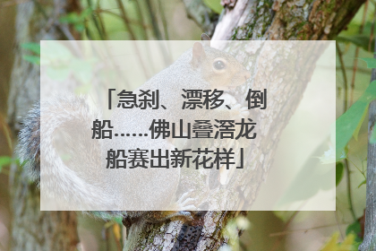 急刹、漂移、倒船……佛山叠滘龙船赛出新花样