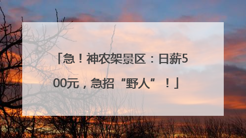 急！神农架景区：日薪500元，急招“野人”！