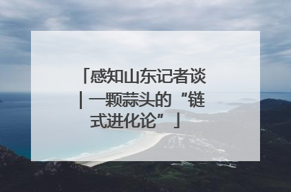 感知山东记者谈｜一颗蒜头的“链式进化论”