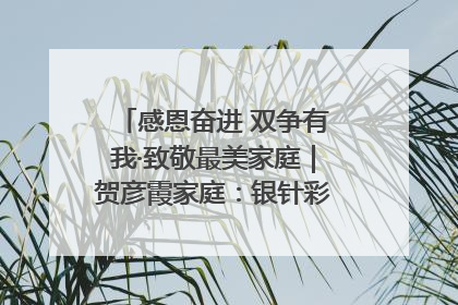 感恩奋进 双争有我·致敬最美家庭｜贺彦霞家庭：银针彩线绣出好日子