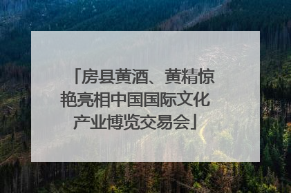 房县黄酒、黄精惊艳亮相中国国际文化产业博览交易会
