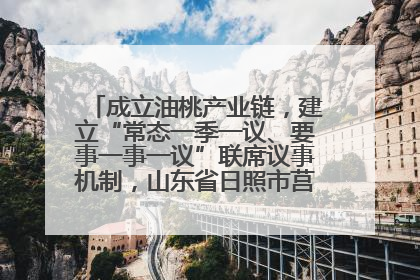 成立油桃产业链，建立“常态一季一议、要事一事一议”联席议事机制，山东省日照市莒县果庄镇——13个党小组“全周期”育果