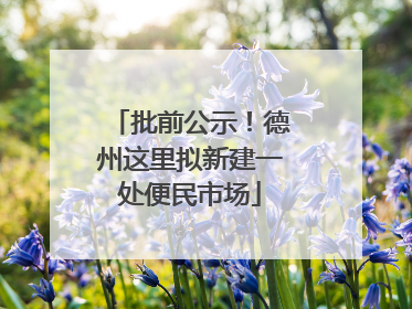 批前公示！德州这里拟新建一处便民市场