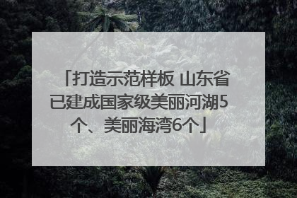 打造示范样板 山东省已建成国家级美丽河湖5个、美丽海湾6个