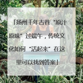 扬州千年古巷“原汁原味”过端午，传统文化如何“活起来”在这里可以找到答案