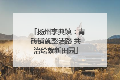 扬州李典镇：青砖铺就整洁路 共治绘就新田园