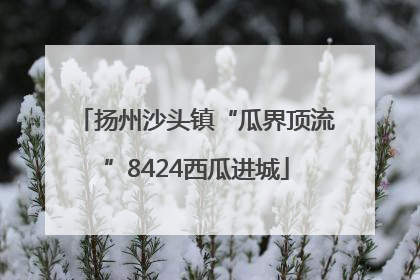 扬州沙头镇“瓜界顶流”8424西瓜进城