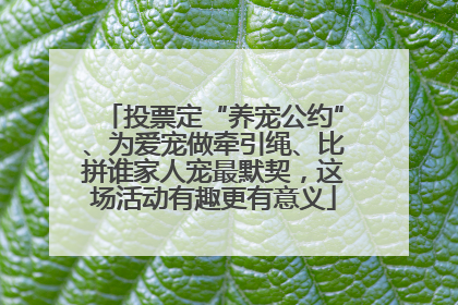 投票定“养宠公约”、为爱宠做牵引绳、比拼谁家人宠最默契，这场活动有趣更有意义