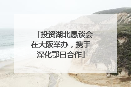 投资湖北恳谈会在大阪举办，携手深化鄂日合作