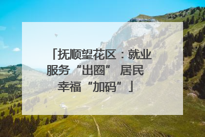 抚顺望花区：就业服务“出圈” 居民幸福“加码”