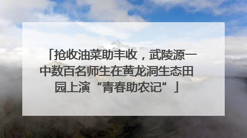 抢收油菜助丰收，武陵源一中数百名师生在黄龙洞生态田园上演“青春助农记”