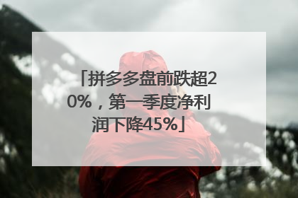 拼多多盘前跌超20%，第一季度净利润下降45%