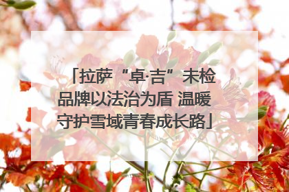 拉萨“卓·吉”未检品牌以法治为盾 温暖守护雪域青春成长路