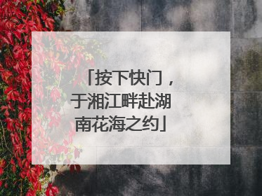 按下快门，于湘江畔赴湖南花海之约