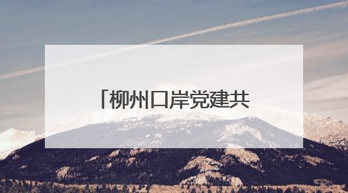 柳州口岸党建共同体“党建大讲堂”活动举行