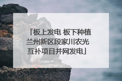 板上发电 板下种植 兰州新区段家川农光互补项目并网发电