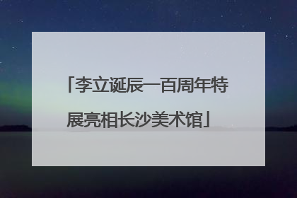 李立诞辰一百周年特展亮相长沙美术馆
