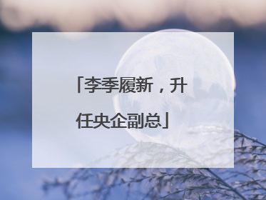 李季履新，升任央企副总