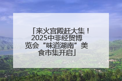 来火宫殿赶大集！2025中非经贸博览会“味道湖南”美食市集开启