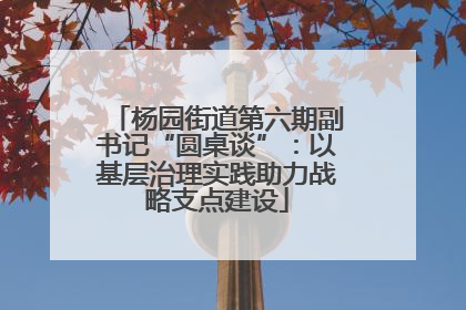 杨园街道第六期副书记“圆桌谈”：以基层治理实践助力战略支点建设