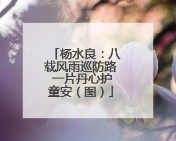 杨水良：八载风雨巡防路 一片丹心护童安（图）
