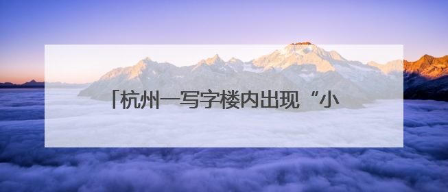 杭州一写字楼内出现“小狐狸”？兽医院院长：普通的宠物小狗，像狐狸犬