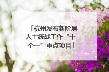杭州发布新阶层人士统战工作“十个一”重点项目