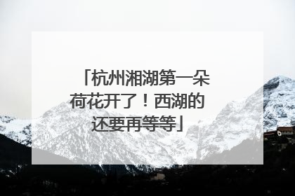 杭州湘湖第一朵荷花开了！西湖的还要再等等