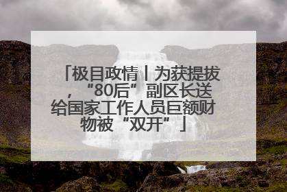 极目政情丨为获提拔，“80后”副区长送给国家工作人员巨额财物被“双开”