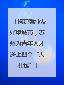 构建就业友好型城市，苏州为青年人才送上四个“大礼包”