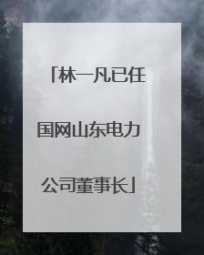 林一凡已任国网山东电力公司董事长