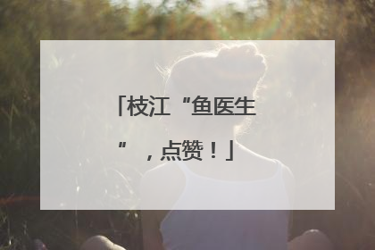 枝江“鱼医生”，点赞！
