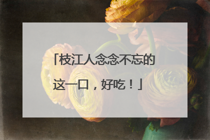 枝江人念念不忘的这一口，好吃！