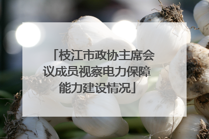 枝江市政协主席会议成员视察电力保障能力建设情况
