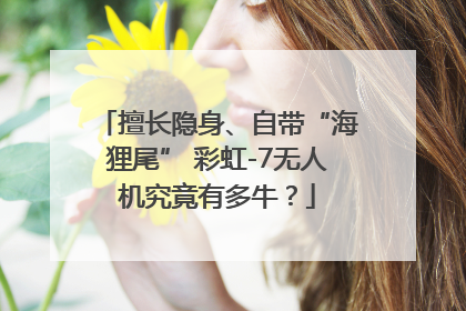 擅长隐身、自带“海狸尾” 彩虹-7无人机究竟有多牛？