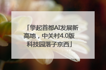 擎起首都AI发展新高地，中关村4.0版科技园落子京西