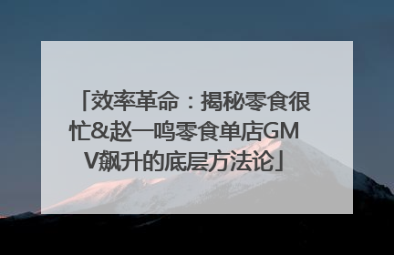 效率革命：揭秘零食很忙&赵一鸣零食单店GMV飙升的底层方法论