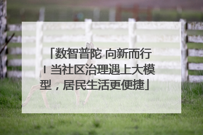 数智普陀 向新而行〡当社区治理遇上大模型，居民生活更便捷