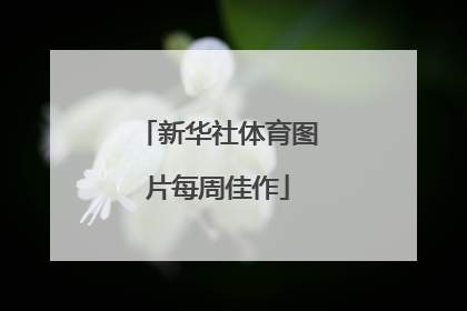 新华社体育图片每周佳作