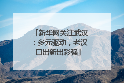 新华网关注武汉：多元驱动，老汉口出新出彩强